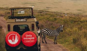 14 Days in East Africa, incl. Serengeti and Zanzibar