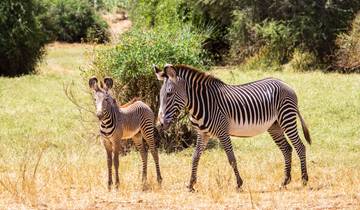 10 Days in Southern Africa, incl. Okavango Delta and Victoria Falls