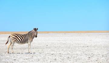 10 Days in Southern Africa, incl. Okavango Delta and Victoria Falls