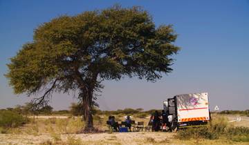 10 Days in Southern Africa, incl. Okavango Delta and Victoria Falls