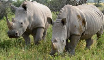 10 Days in Southern Africa, incl. Okavango Delta and Victoria Falls