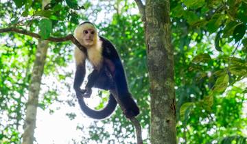 15 Day Costa Rica Itinerary, incl. San Jose and Manuel Antonio