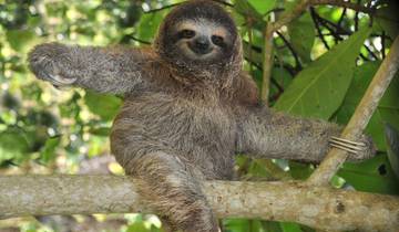 15 Day Costa Rica Itinerary, incl. San Jose and Manuel Antonio