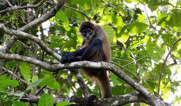 15 Day Costa Rica Itinerary, incl. San Jose and Manuel Antonio