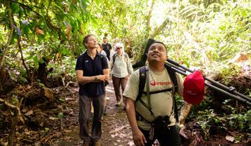 15 Day Costa Rica Itinerary, incl. San Jose and Manuel Antonio