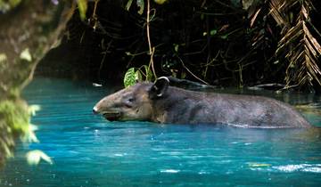 15 Day Costa Rica Itinerary, incl. San Jose and Manuel Antonio