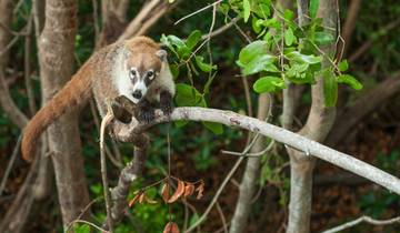 15 Day Costa Rica Itinerary, incl. San Jose and Manuel Antonio