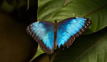 15 Day Costa Rica Itinerary, incl. San Jose and Manuel Antonio