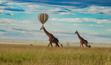 5 DAYS TANZANIA WILDLIFE SAFARI AND CULTURAL TOUR