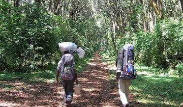 Kilimanjaro Climb Umbwe Route