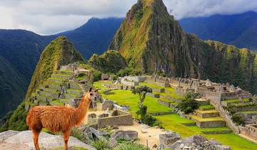 Galapagos & Peru Adventure (from Quito to Desaguadero)