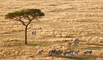 Tanzania Family Safaris