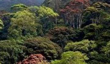 Ndelemai bosreservaat 7-8 uur