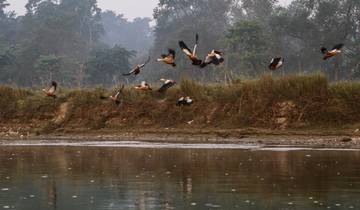 Chitwan National Park Extension