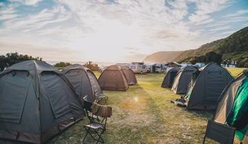 14 Days in South Africa, incl. Durban and Cape Town