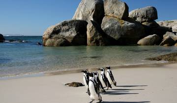 14 Days in South Africa, incl. Durban and Cape Town