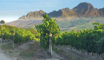 14 Days in South Africa, incl. Durban and Cape Town