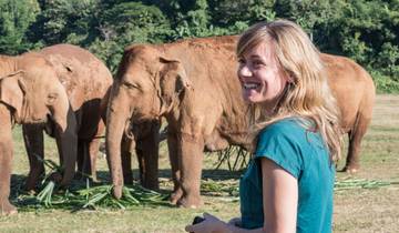 Thailand Family Holiday (from Bangkok to Chiang Mai)
