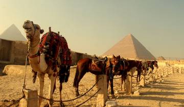 10 Day Egypt Itinerary, incl. Cairo and Luxor