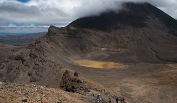 7 Days in New Zealand North Island, incl. Auckland and Wellington