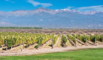 14 Days in Argentina, incl. Buenos Aires and Patagonia
