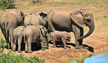 7 Day Southern Africa Itinerary, incl. Kruger and Victoria Falls