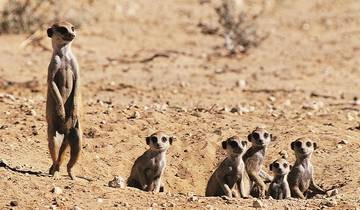 7 Day Southern Africa Itinerary, incl. Kruger and Victoria Falls