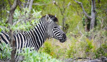7 Day Southern Africa Itinerary, incl. Kruger and Victoria Falls