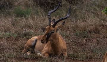 7 Day Southern Africa Itinerary, incl. Kruger and Victoria Falls