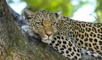 14-day Kruger to the Delta, Chobe & Victoria Falls (Accommodated)