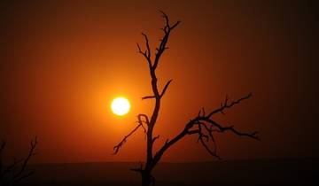 14-day Kruger to the Delta, Chobe & Victoria Falls (Accommodated)