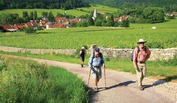 Burgundy Vineyard Trails Tour