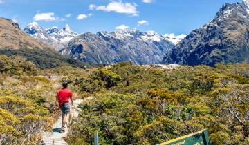 Walking in New Zealand