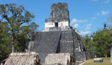 From Flores: Tikal Ruins Guided Day Trip Tour