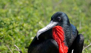 5 Day Incredible Galapagos Land Tour visiting 3 Islands Tour