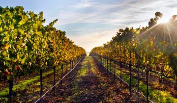 Northern California\'s Finest Tour