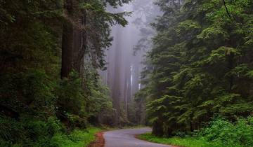 9 Days Pacific Coast, incl. Seattle and San Francisco