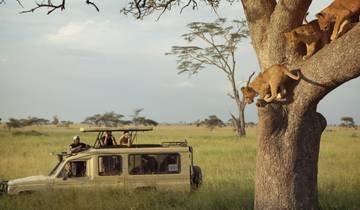 Avonturenreis naar de Victoria Falls & Serengeti - safari-ritten & sterrenzee-rondreis