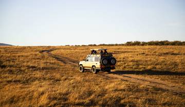 Kenya: A Classic Safari with Amboseli Tour