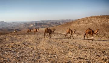 Journey Through the Holy Land with Jordan - Faith-Based Travel Tour