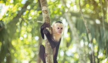 16 Days in Costa Rica, incl. San Jose and Arenal