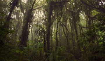 16 Days in Costa Rica, incl. San Jose and Arenal