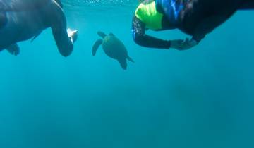 10 Day Galapagos Islands Itinerary, incl. Santa Cruz and Isabela