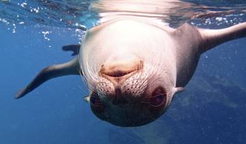 10 Day Galapagos Islands Itinerary, incl. Santa Cruz and Isabela