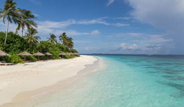 Maldives Dhoni Cruise Tour