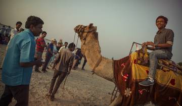 28 Days in India, incl. Delhi and Kerala
