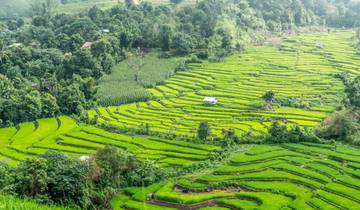 Southeast Asia Discovery: Seasides and Street Food