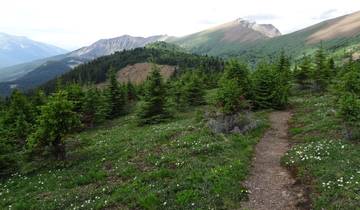 14 Day Canadian Rockies Itinerary, incl. Banff and Jasper