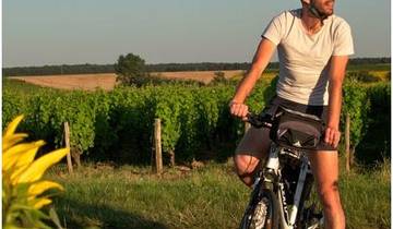 5 Day Loire Valley Itinerary, incl. Amboise and Blois