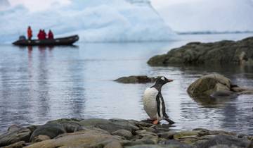 21 Days in Antarctica, incl. South Georgia and Falkland Islands